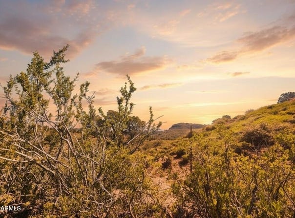 55 FOXTAIL Circle, Pine, AZ 85544