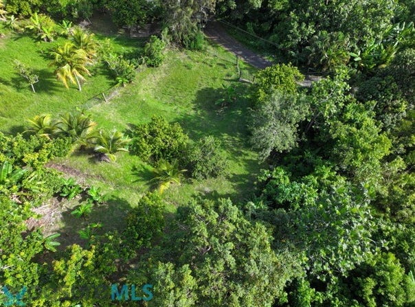 Rocha, Moca, PR 00676