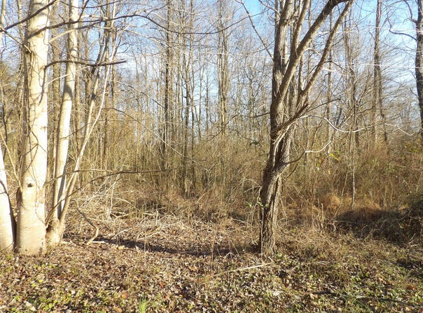 312 Blakely Lane, Middlesboro, KY 40965