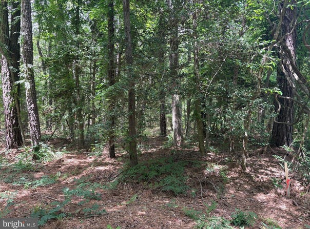 PIONEER TRAIL, HAGUE, VA 22469