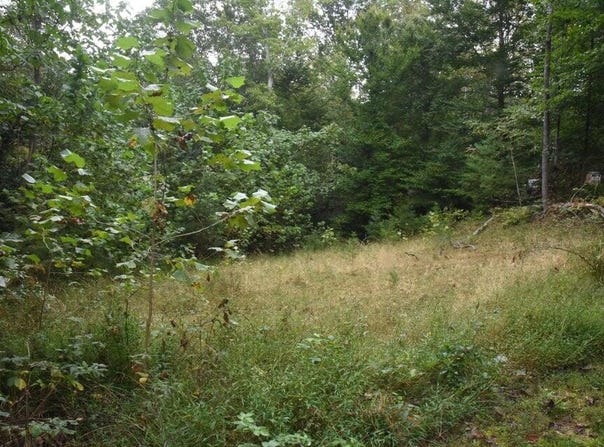Raintree Rd, Roanoke, VA 24018