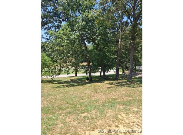 Pinkie Lane lot: 4A, Laurie, MO 65037