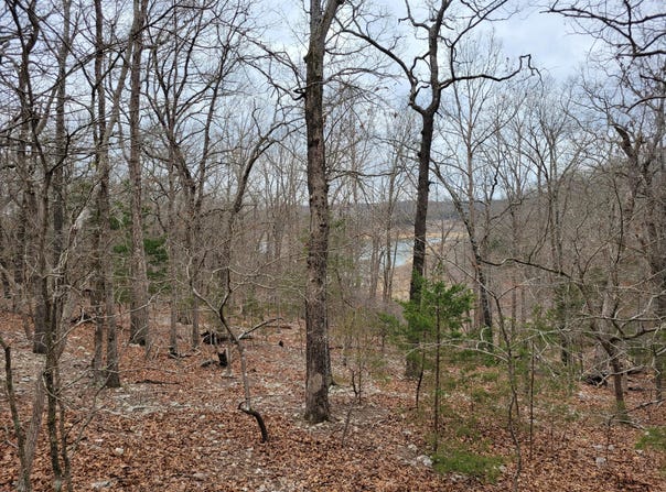 Lost Mine Road, Theodosia, MO 65761