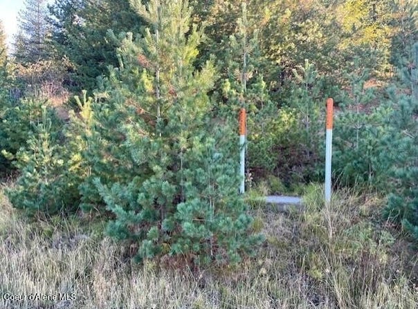 277 DIAMOND HITCH Dr, Kellogg, ID 83837