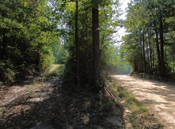 Co Rd 350, Billingsley, AL 36006
