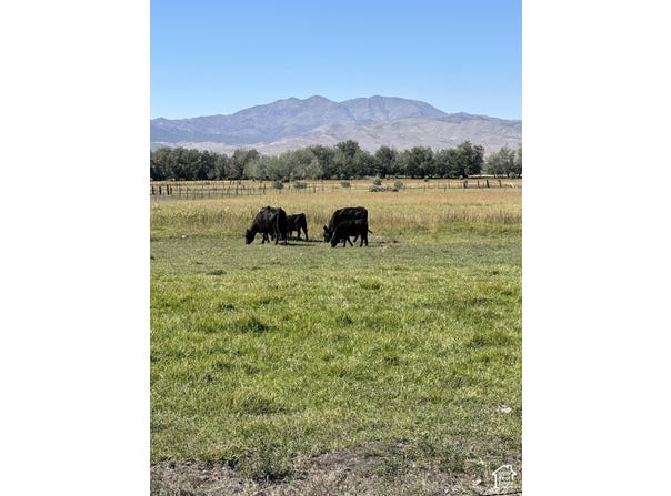 Goshen, UT 84633