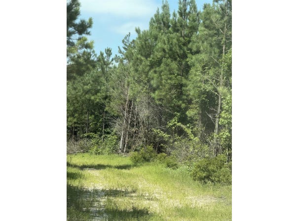 Nevada 46 Roads, Rosston, AR 71858