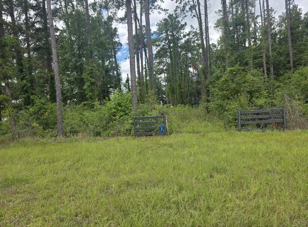 36 ROSALYN RD, Georgetown, GA