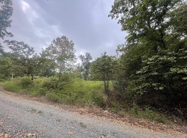 Fernwood Drive, Theodosia, MO 65761
