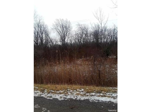 E Maple Avenue, Grand Blanc, MI 48507
