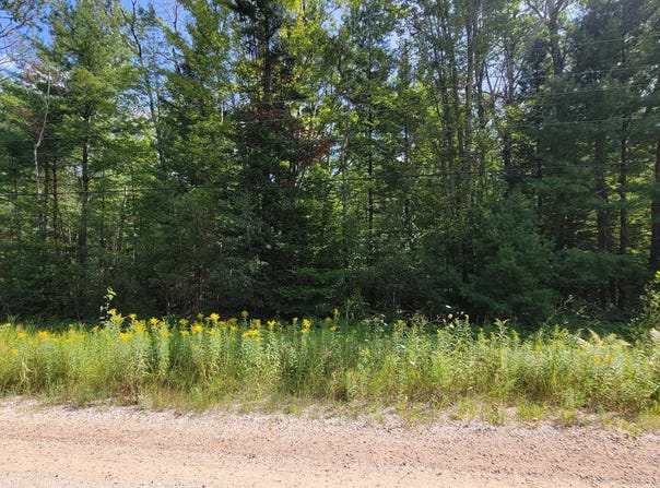 15907 Avenue Du Chalet, Wolverine, MI 49799