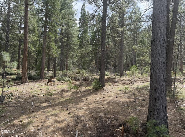 016 Chad Court, Burney, CA 96013