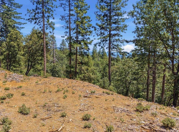 Old Oak Ranch Rd, Sonora, CA 95370
