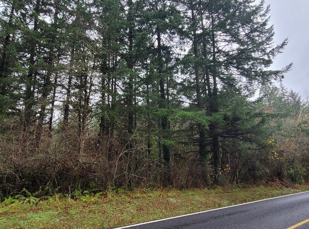 0 Huston Road, Veneta, OR 97487