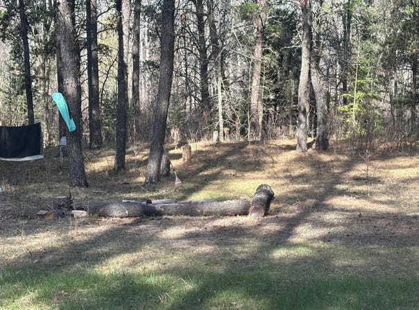 Arbor Road, Park Rapids, MN 56470