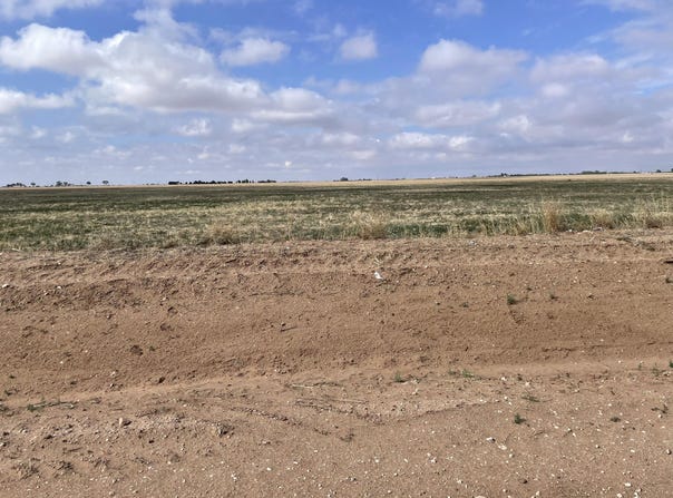 County Road 6200, Idalou, TX 79329