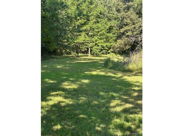 235 Flycatcher Lane, Fairdealing, MO 63939