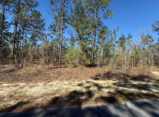 SE 130 Court lot: 5, DUNNELLON, FL 34431