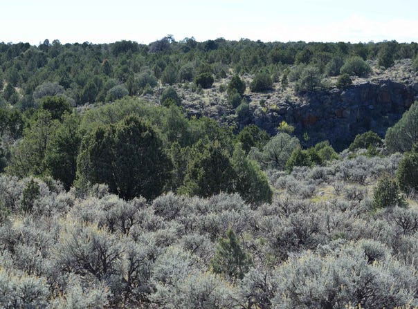 Matisse Road, Carson, NM