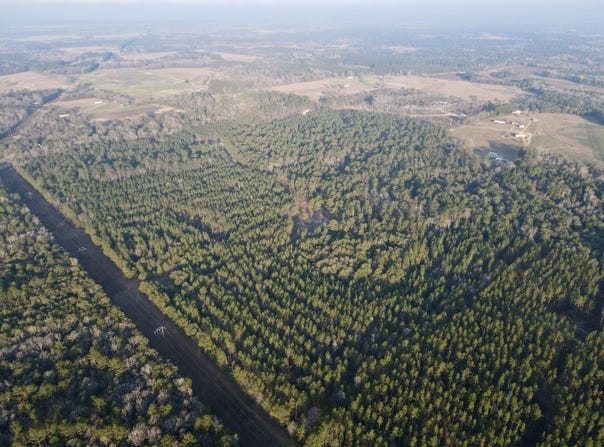 Pearce Drive lot: 3, Richton, MS 39476