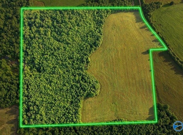 40acres County Road 668, Henagar, AL 35978