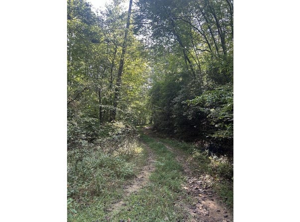 Tr 5 Mountain Pass Drive lot: 5,7,8,9, Hayesville, NC 28904