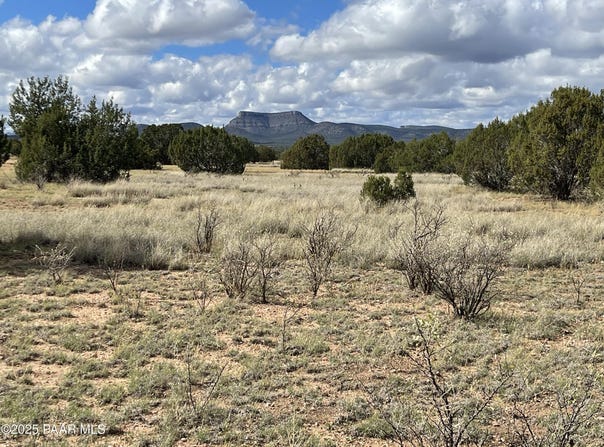 Honey Bee Lane, Seligman, AZ 86337