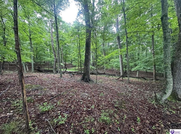 Red Wing Road, Brandenburg, KY 40108