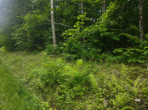 Stream Road, Vienna, ME 04360