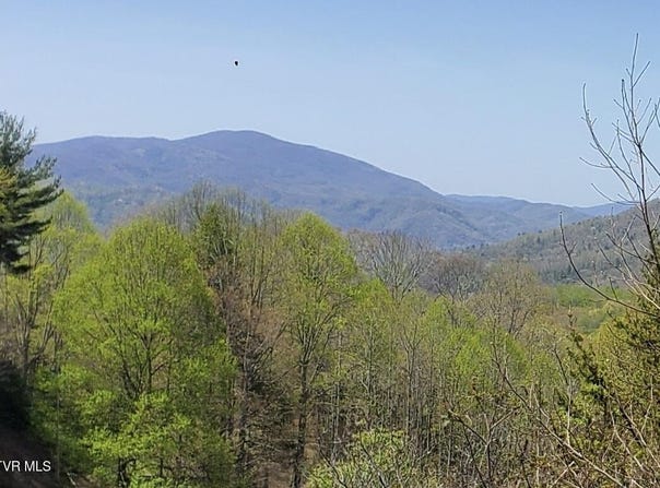 Blue Grass Road, Roan Mountain, TN 37687