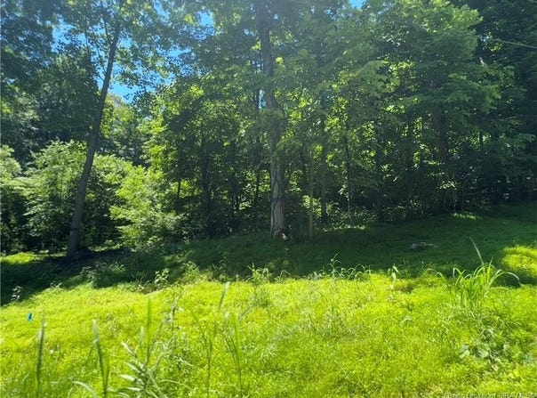 5+/- AC Squire Boone Road SW, Mauckport, IN 47142