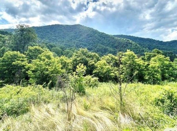 Split Pine Cove, Clyde, NC 28721