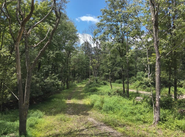 Matson Rd, Ligonier, PA 15658