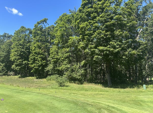 863 Aronimink Drive, Harbor Springs, MI 49740