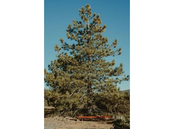 6&7 Joines, Alturas, CA 96101