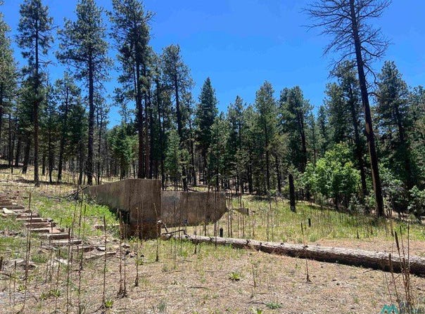 57 E FOREST Dr, Rociada, NM 87742