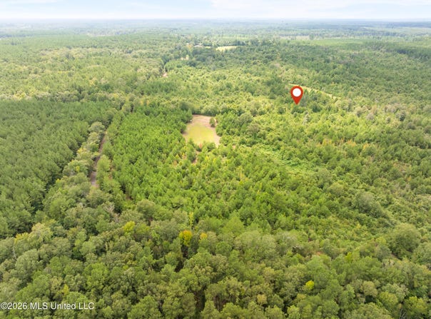 2705 Pilgrims Rest Road, Magnolia, MS 39652