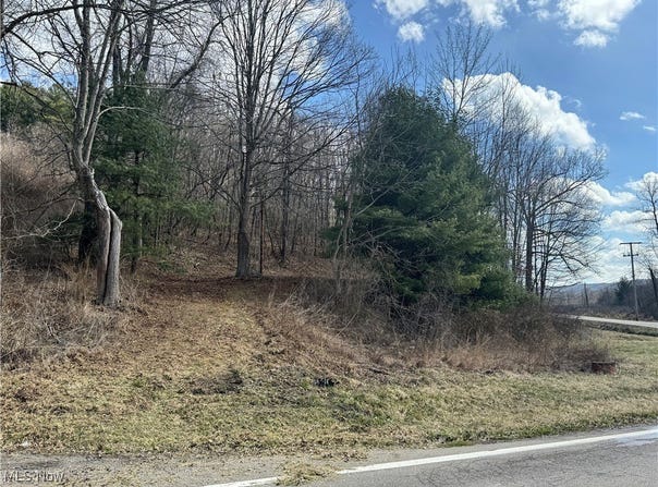 Holloway Rd/State Rt 331, Flushing, OH 43977