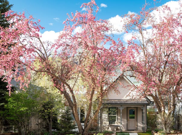 1006 E Cooper Avenue, Aspen, CO 81611