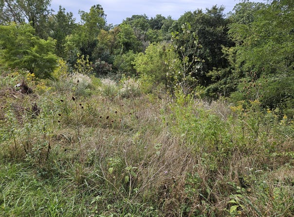 3800 M-139, St. Joseph, MI 49085