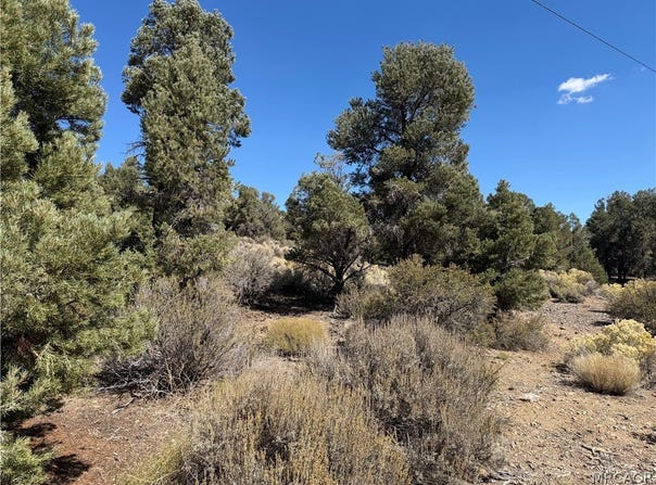 Falling Springs Road, Big Bear City, CA 92314