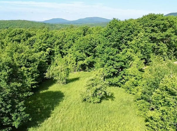 Center Road, Lyndeborough, NH 03082