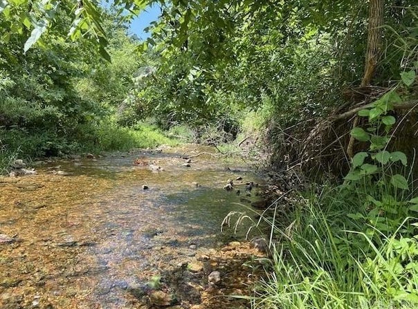 766 Rainbow Valley Trail, Mammoth Spring, AR 72554
