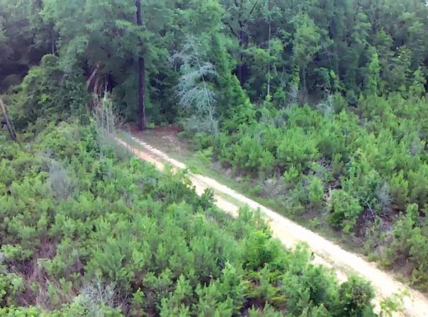 COUNTY ROAD 35, Evergreen, AL 36401