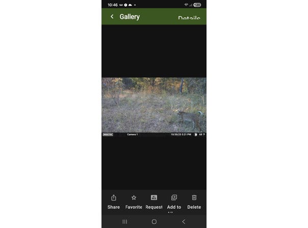 N80 Helt Rd, Antlers, OK 74525
