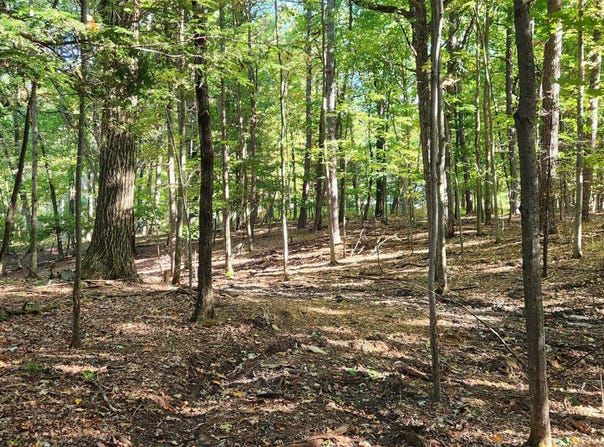 Goldfinch Pl, Mount Pocono, PA 18344