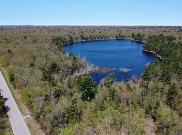 off Adams Trail Road, Shingleton, MI 49884