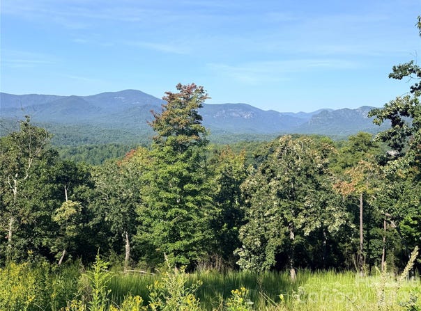 Summertime Drive, Lake Lure, NC 28746