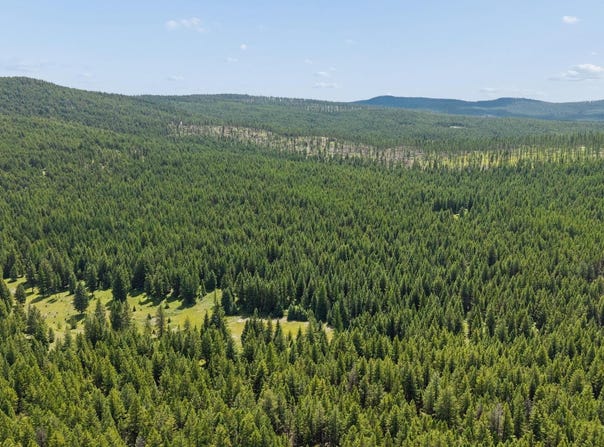 554 Pinkham Road, Rexford, MT 59930