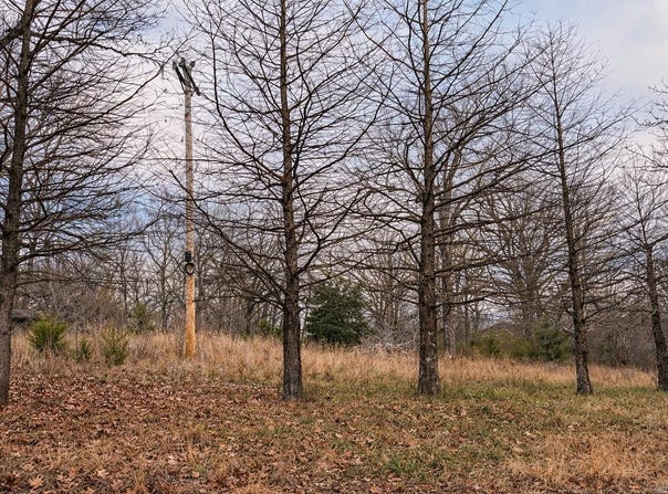 Acres Road, Williford, AR 72482